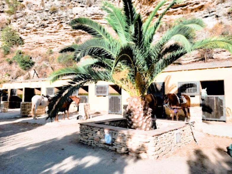 רונדה Hacienda Puerto De Las Muelas מראה חיצוני תמונה