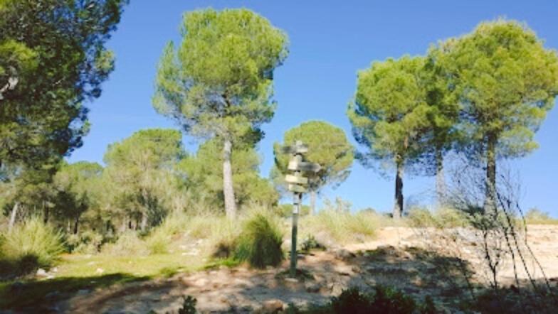 רונדה Hacienda Puerto De Las Muelas מראה חיצוני תמונה