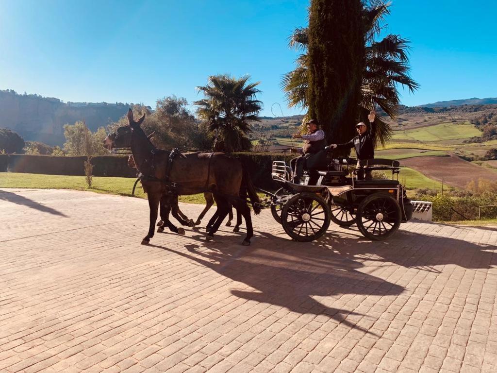 רונדה Hacienda Puerto De Las Muelas מראה חיצוני תמונה